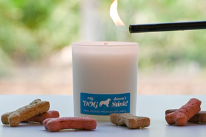 “My Dog Doesn’t Stink!” Soy Candle